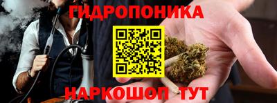 прущая мука Кингисепп