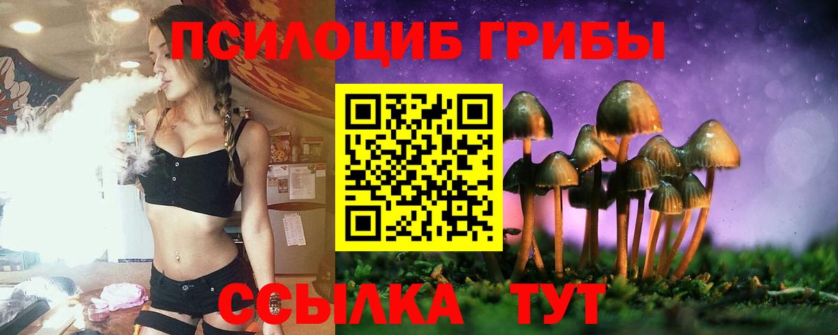 Псилоцибиновые грибы ЛСД Чернушка