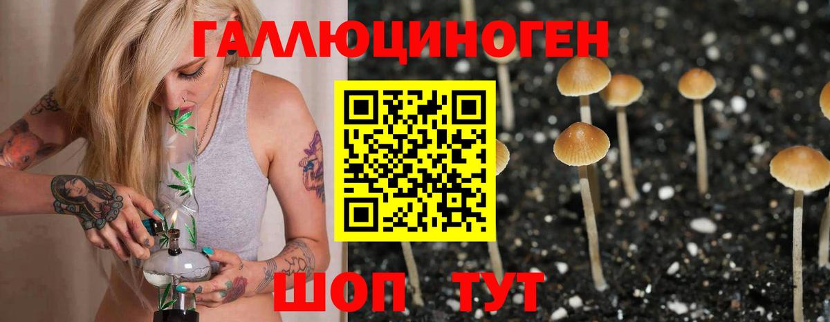 Чернушка  Галлюциногенные грибы Psilocybe  Вход с VPN 